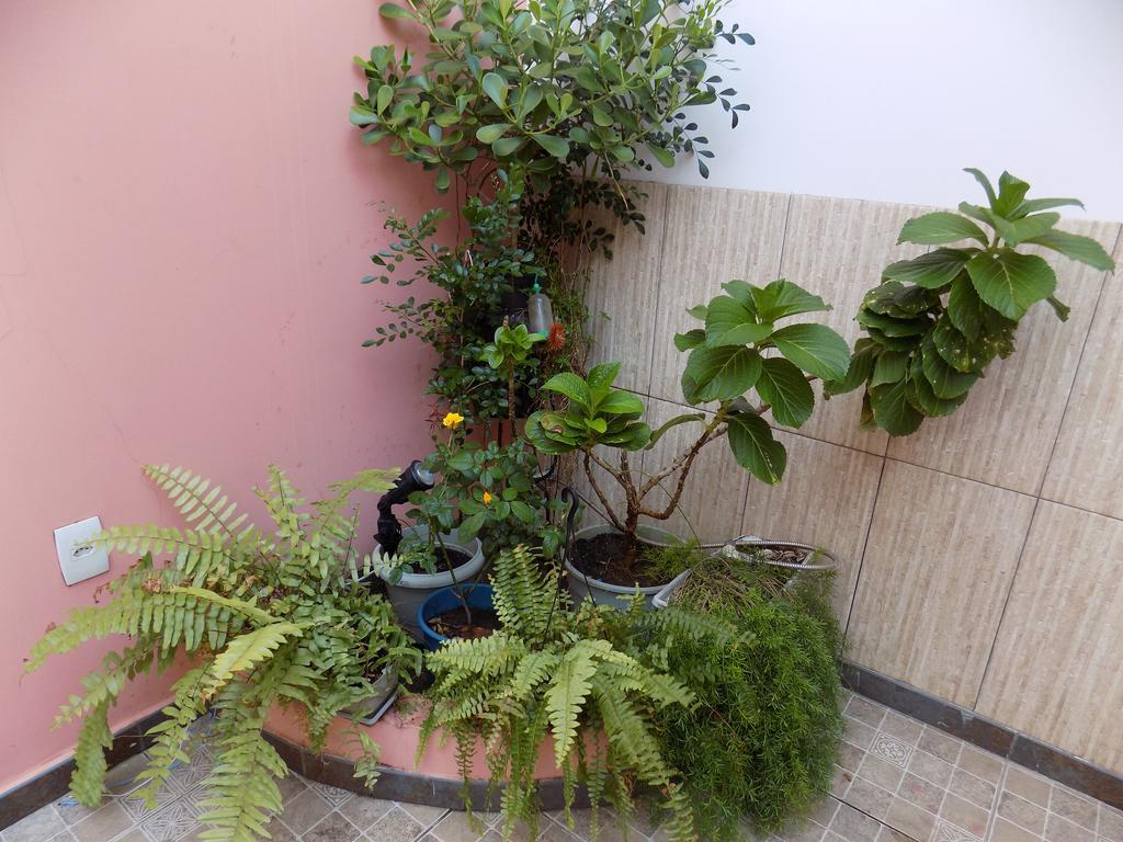 Hostal Rio Vermelho Salvador de Bahía